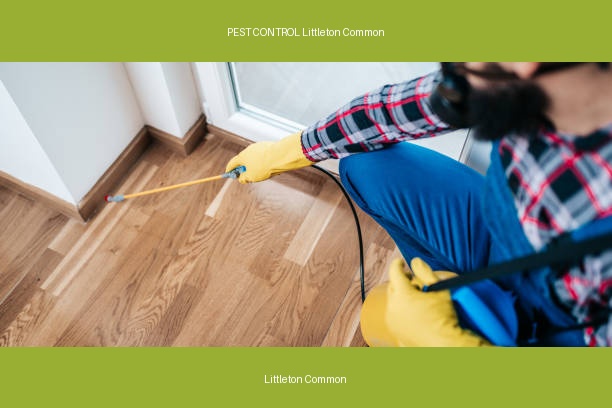 PEST CONTROL Littleton Common